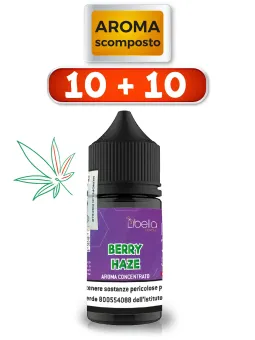 Berry Haze aroma scomposto