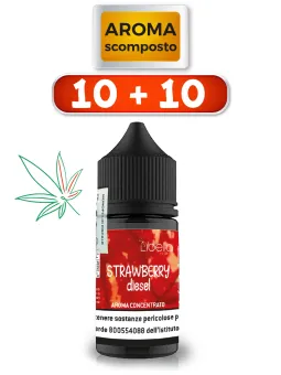 Strawberry Diesel aroma scomposto